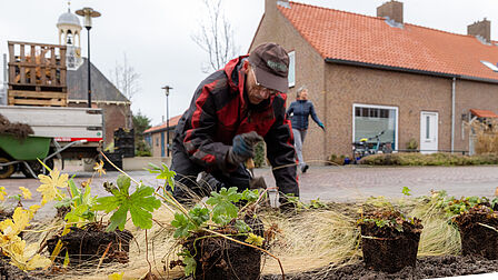 Op de foto is een man te zien met op de achtergrond een huis. Hij zet meerdere planten in de grond.