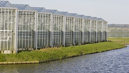 Op de foto zie je een kas met een grasveld. Dat grenst aan water.