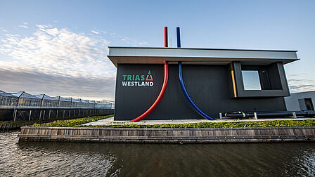Op de foto is een groot zwart gebouw te zien met 'Trias Westland' erop. Eromheen staan kassen en ligt water.