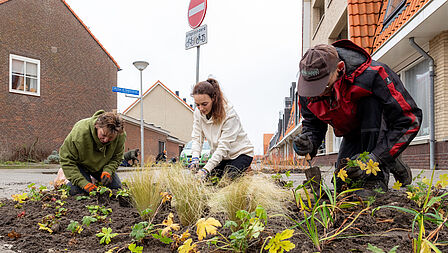Op de foto zie je drie personen bloemen in de grond zetten met op de achtergrond huizen en een verkeersbord.