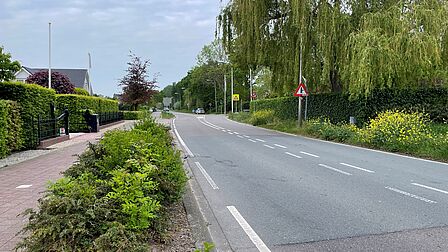 Op de foto zijn een fietspad, een autoweg, struiken, lantarenpalen en bomen te zien.