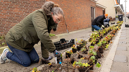 Op de foto zijn drie personen bloemen in de grond aan het planten.