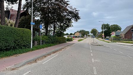 Op de foto is een autoweg te zien met een fietspad, een lantaarnpaal en bosjes.