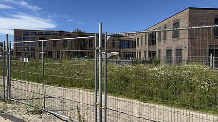 foto van de plek waar het tiny forest komt