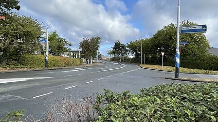 Op de foto is een autoweg te zien met struiken, palen en borden eromheen.