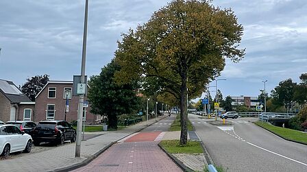 Op de foto zijn een weg, een aantal bomen, een fietspad, een lantaarnpaal, meerdere auto's en een aantal huizen te zien.