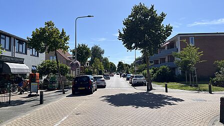 Op de afbeelding is een straat te zien met bomen, auto's en straatstenen
